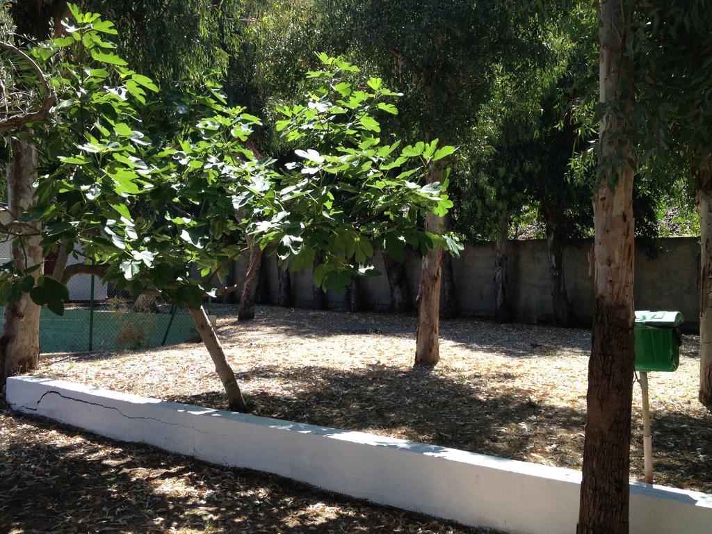 Camping B&B Gioiosa Gioiosa Marea Εξωτερικό φωτογραφία