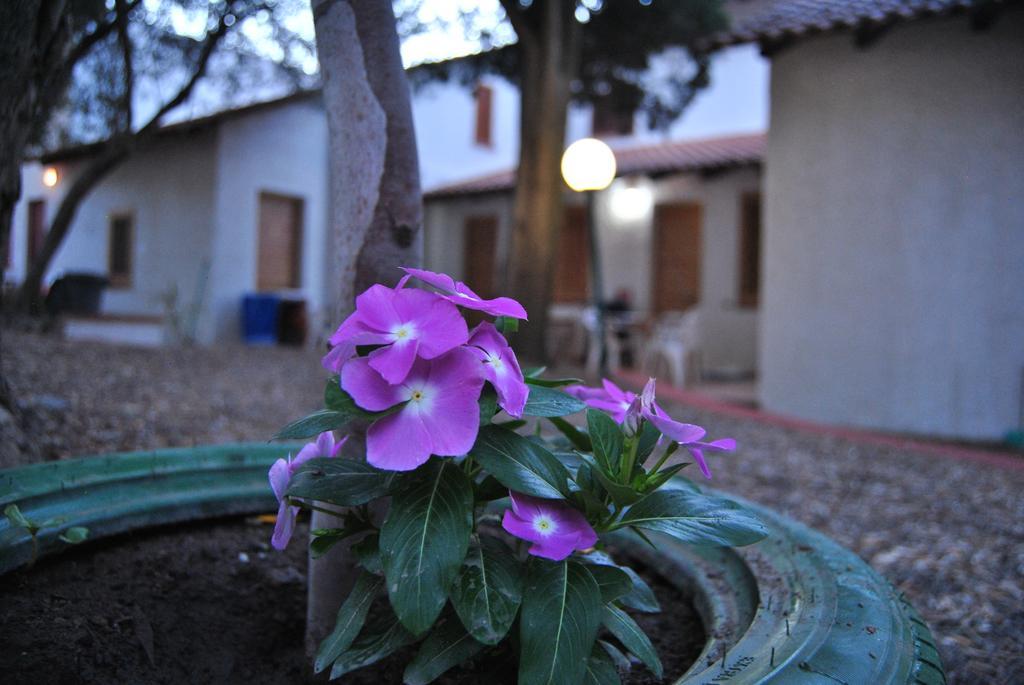 Camping B&B Gioiosa Gioiosa Marea Εξωτερικό φωτογραφία