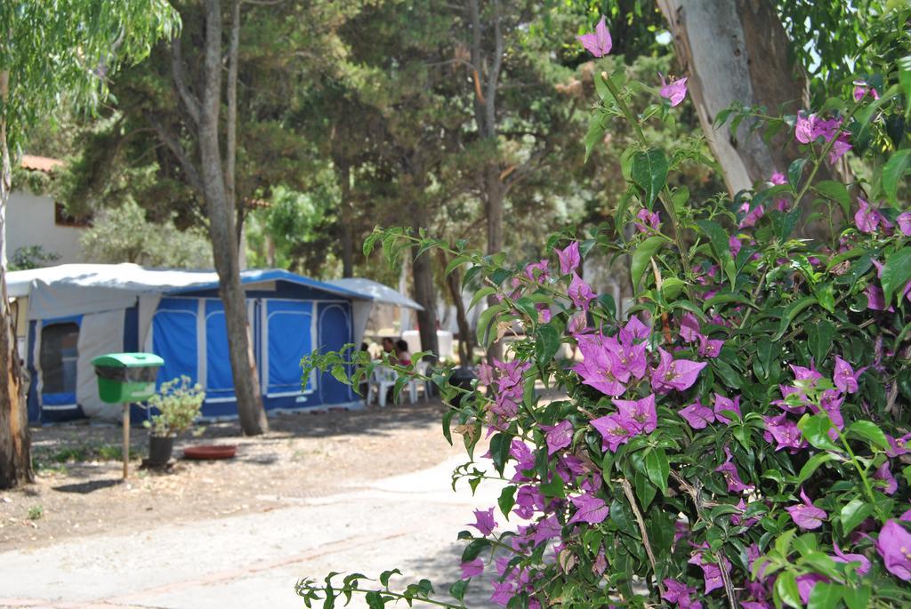 Camping B&B Gioiosa Gioiosa Marea Εξωτερικό φωτογραφία