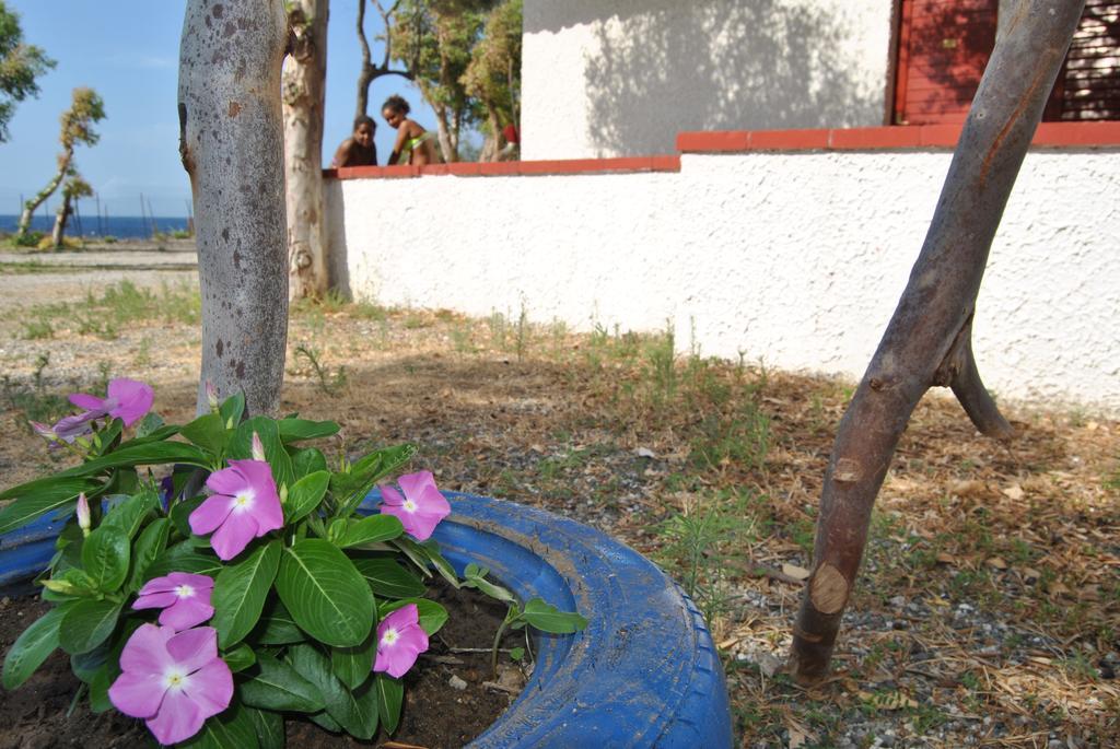 Camping B&B Gioiosa Gioiosa Marea Εξωτερικό φωτογραφία