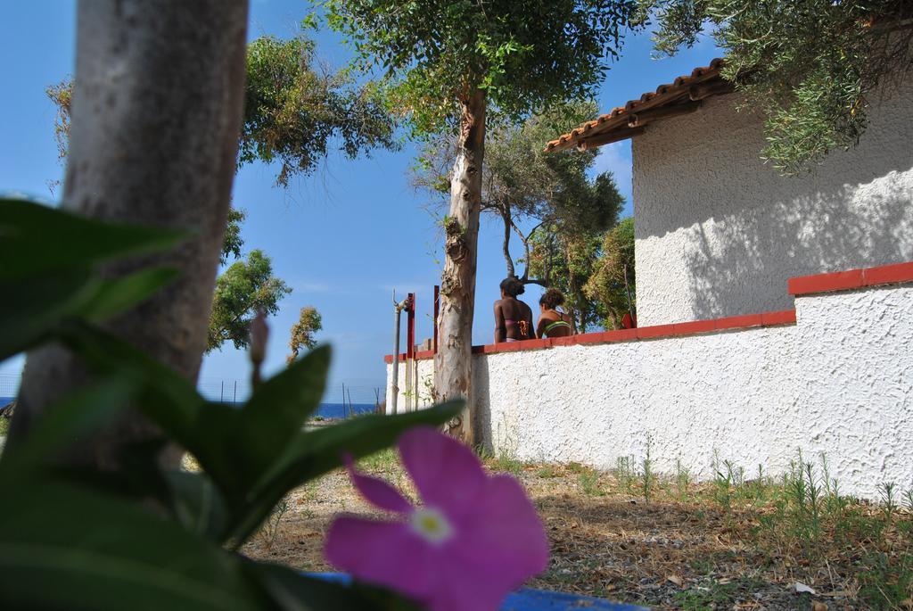 Camping B&B Gioiosa Gioiosa Marea Εξωτερικό φωτογραφία