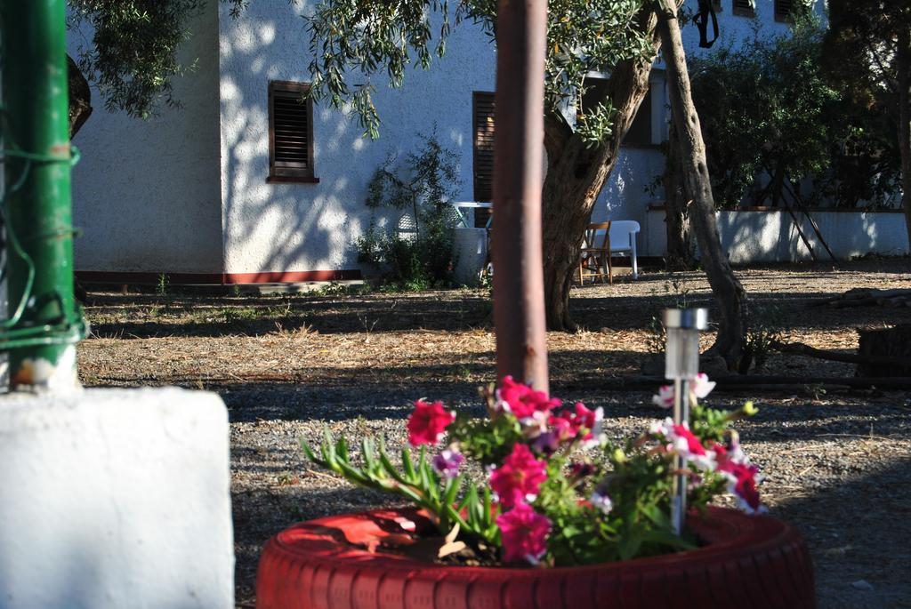 Camping B&B Gioiosa Gioiosa Marea Εξωτερικό φωτογραφία