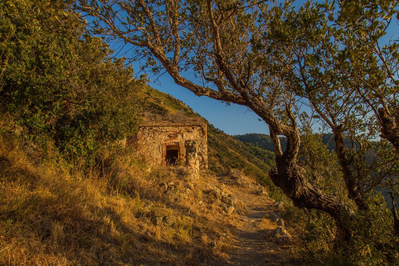 Camping B&B Gioiosa Gioiosa Marea Εξωτερικό φωτογραφία